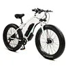 26-Inch 350W 2-Wheel Electric Snow Bicycle 48V Off-Road Fat Tire 21 Speed Gears Aluminum Fork and Alloy Rim Free Shipping