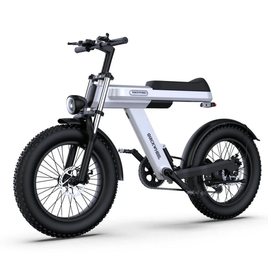 1000W 48V 15Ah Electric Moped Bike